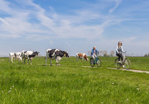 Circuits vélos & Saveurs locales