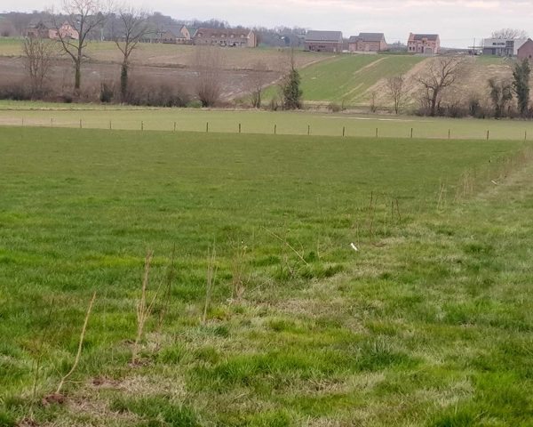 A la découverte de la région des Collines
