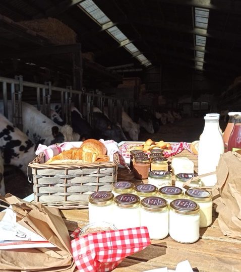 Emmenez avec vous un petit bout de Spamboux