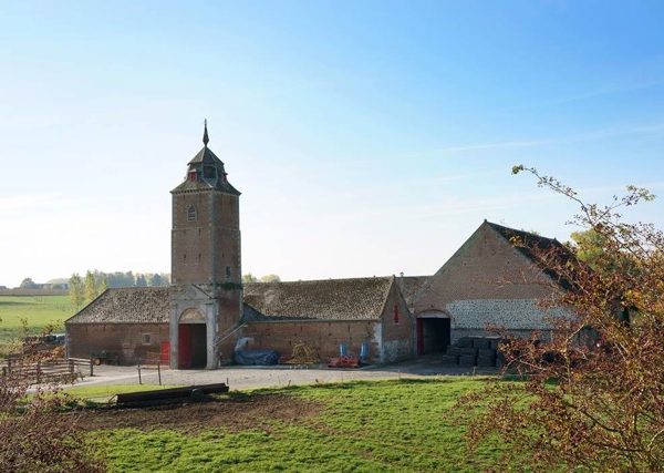 Les MINIS à la ferme